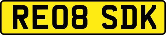 RE08SDK