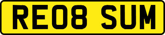 RE08SUM