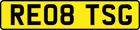 RE08TSG