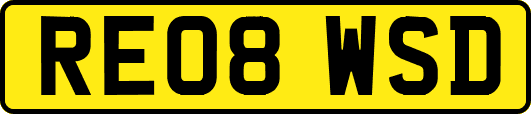 RE08WSD