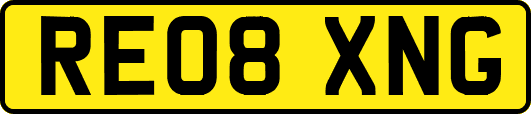RE08XNG
