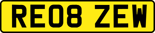 RE08ZEW