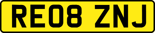 RE08ZNJ