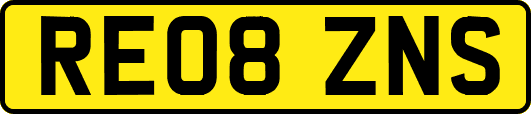 RE08ZNS