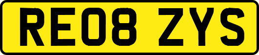 RE08ZYS