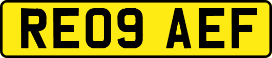 RE09AEF