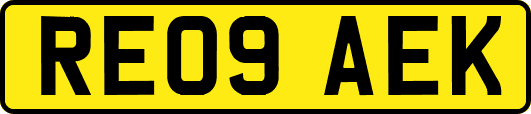 RE09AEK