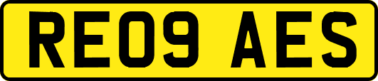 RE09AES