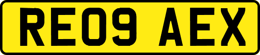 RE09AEX