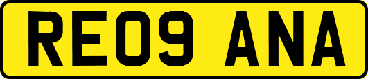 RE09ANA