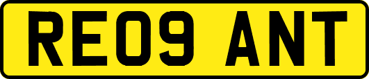 RE09ANT