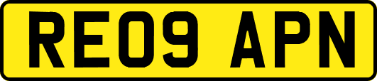 RE09APN