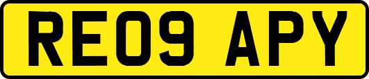 RE09APY