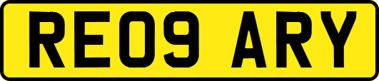 RE09ARY
