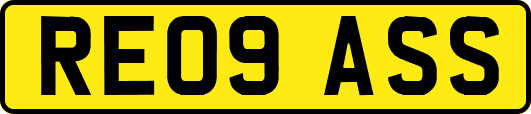 RE09ASS