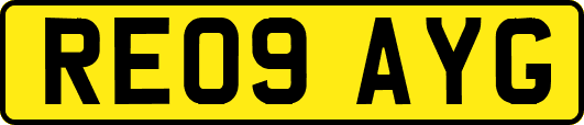 RE09AYG