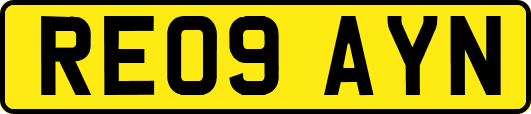 RE09AYN