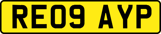 RE09AYP