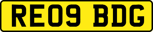 RE09BDG
