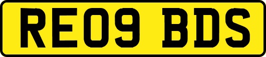 RE09BDS