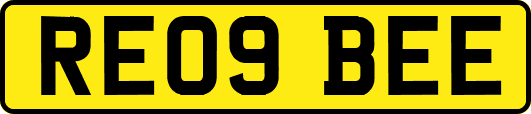 RE09BEE
