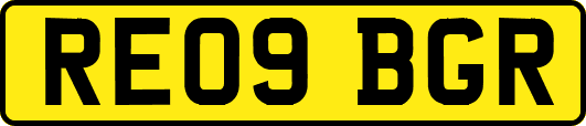 RE09BGR