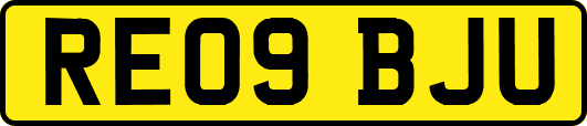 RE09BJU