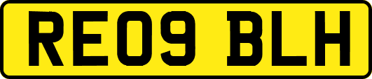 RE09BLH