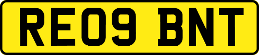 RE09BNT