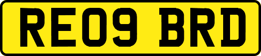 RE09BRD