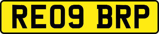 RE09BRP