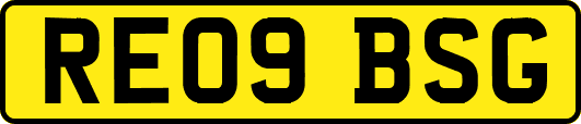 RE09BSG