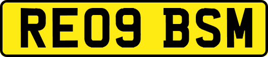 RE09BSM