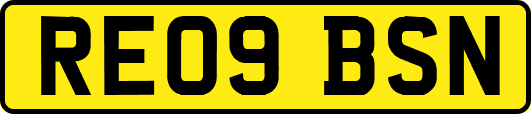 RE09BSN