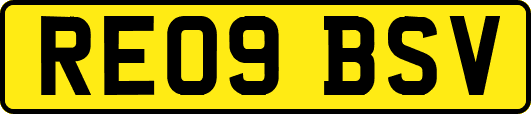 RE09BSV