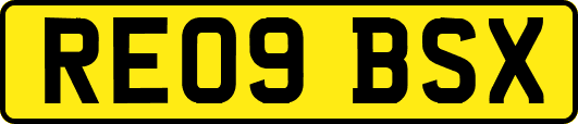RE09BSX