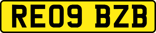 RE09BZB
