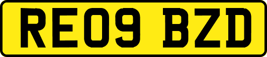 RE09BZD