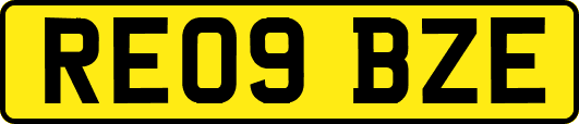 RE09BZE