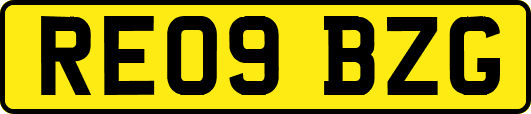 RE09BZG