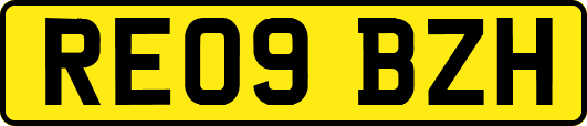 RE09BZH