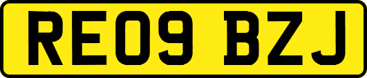 RE09BZJ