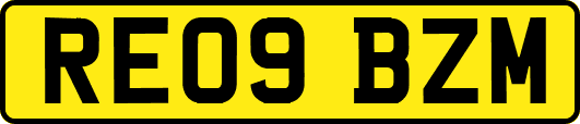 RE09BZM