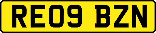 RE09BZN