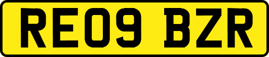 RE09BZR