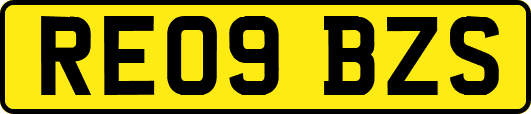 RE09BZS