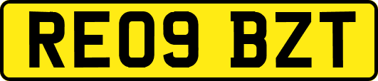 RE09BZT