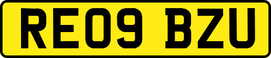 RE09BZU