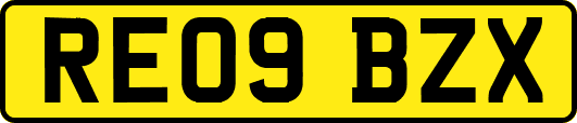 RE09BZX