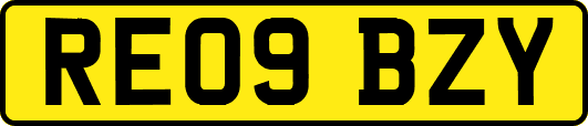 RE09BZY